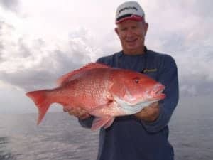 Sarasota Fishing Charter Snapper Fishing 