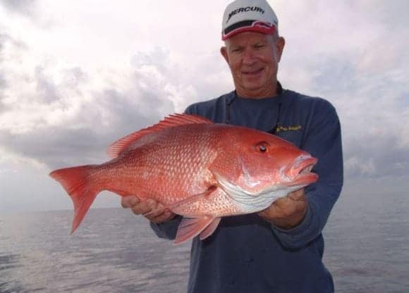 Sarasota Fishing Charter Snapper