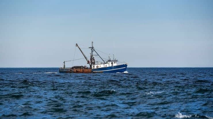 How Illegal Fishing Is Being Tracked