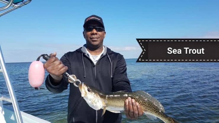 Local Fishing Report January 16th 2019