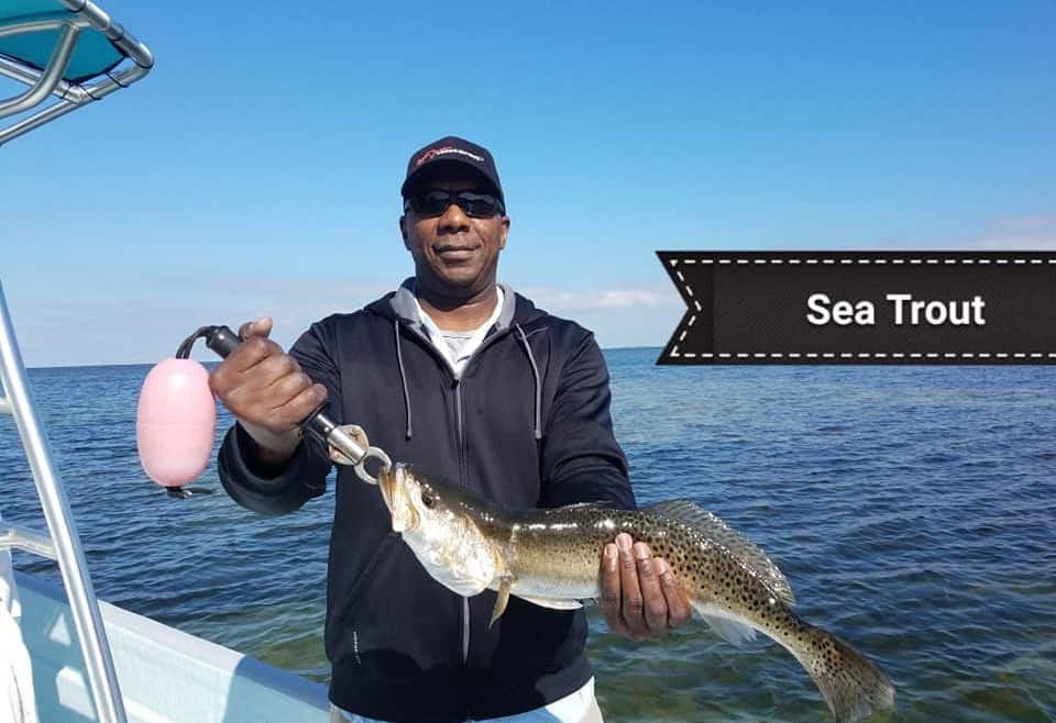 Local Fishing Report January 16th 2019