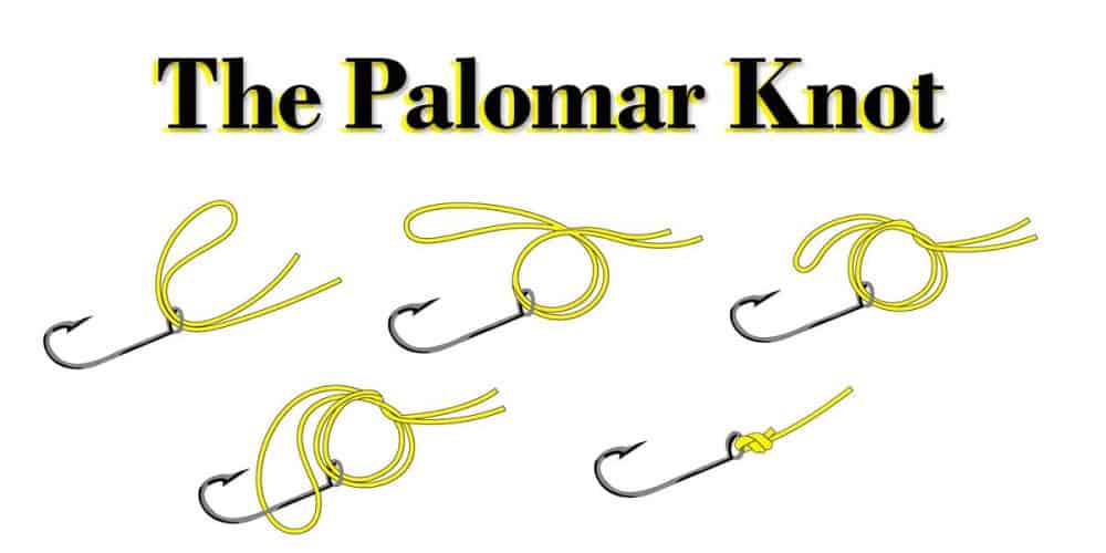 How to tie the Palomar Knot
