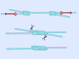 knots