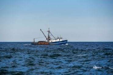 Fishing Charter